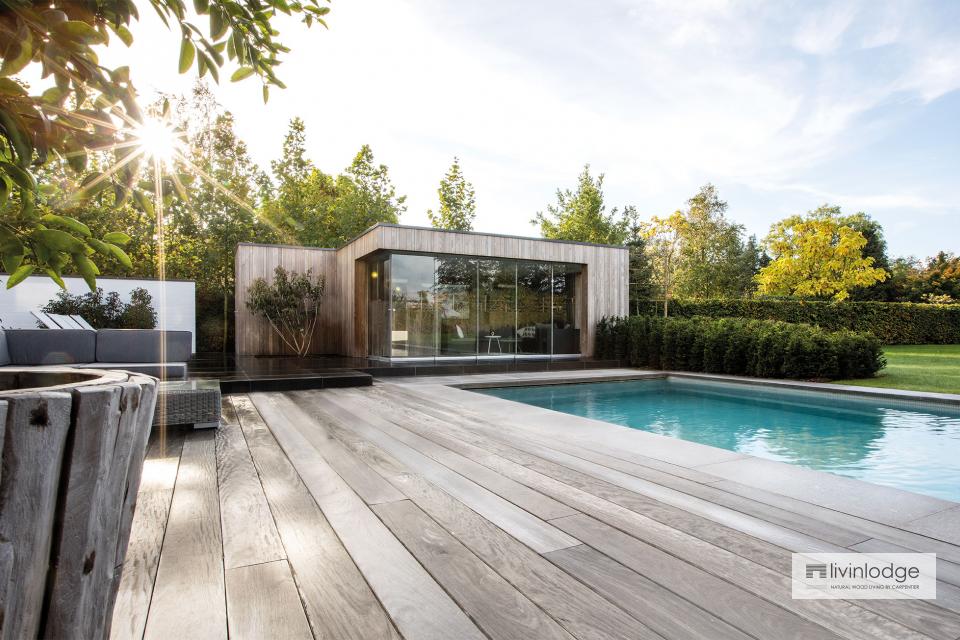 Pool house de estilo moderno con madera termotratada de fresno en Zwijnaarde