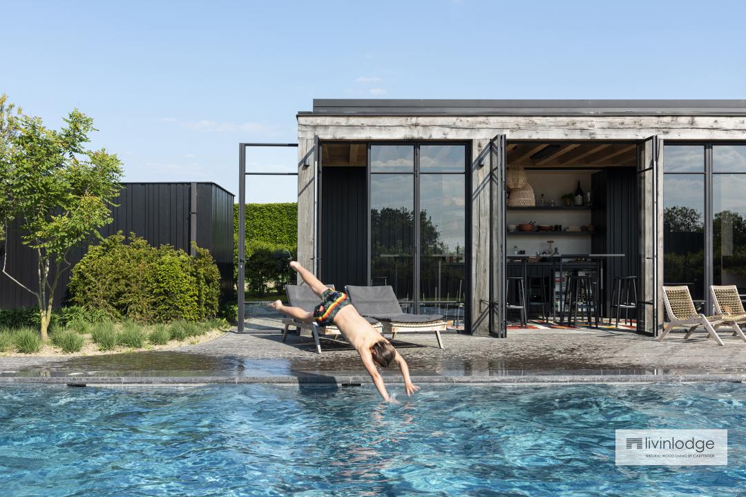pool house de roble moderna